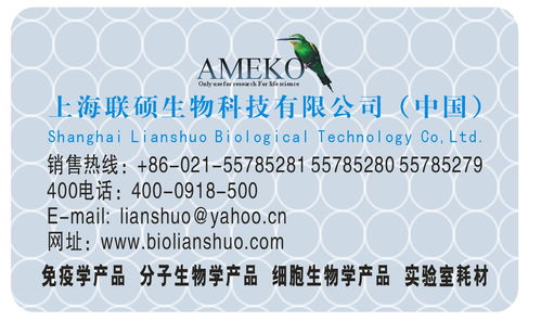 深度解析價格、采購、供應(yīng)商信息與技術(shù)交流的關(guān)聯(lián)與策略